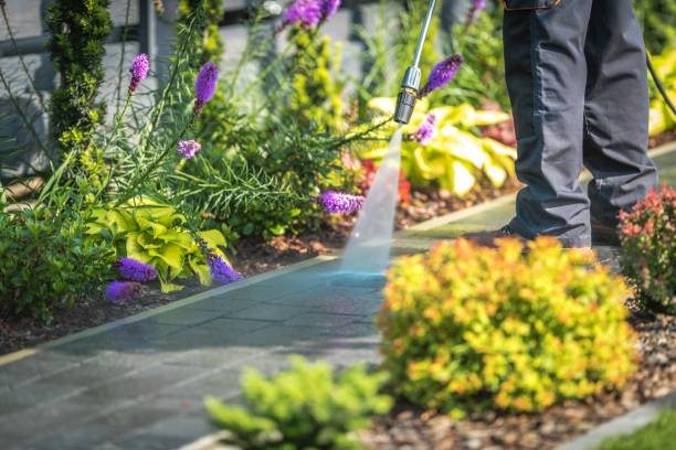 Best Winterizing Services  in Roman Forest, TX