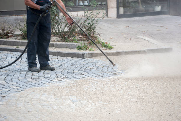 Best Roof Washing  in Roman Forest, TX