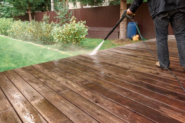 Best Driveway Pressure Washing  in Roman Forest, TX