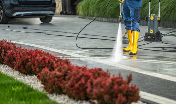 Best Restaurant Pressure Washing  in Roman Forest, TX